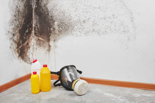 Best Emergency Mold Removal  in Fords Prairie, WA