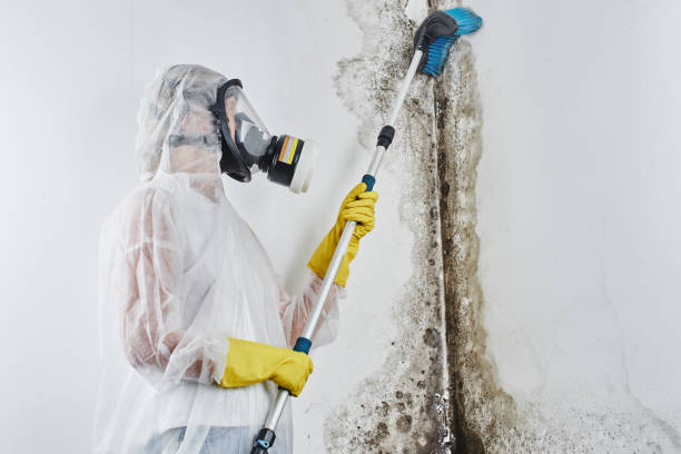 Best Mold Testing  in Fords Prairie, WA