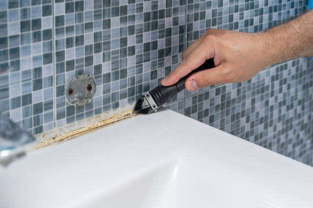 Best Mold Removal Company Near Me  in Fords Prairie, WA