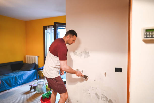 Best Same-Day Mold Removal  in Fords Prairie, WA