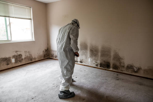 Best Crawl Space Mold Removal  in Fords Prairie, WA